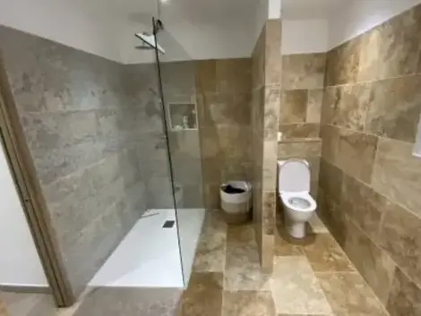 charpentier couvreur à La Chapelle-Saint-Aubin - image 4