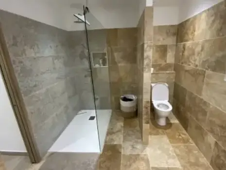 rénovation toiture à La Milesse - image 3